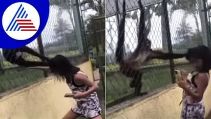 ಸುಮ್ಮನಿರಲಾರದೇ ಕೋತಿ ಜೊತೆ ಚೆಲ್ಲಾಟ: ಮುಂದೇನಾಯ್ತು ನೋಡಿ viral video