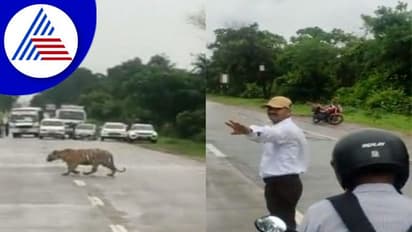 ಹುಲಿ ರಸ್ತೆ ದಾಟಲು ಟ್ರಾಫಿಕ್ ನಿಲ್ಲಿಸಿದ ಪೊಲೀಸ್ : ವಿಡಿಯೋ ವೈರಲ್‌