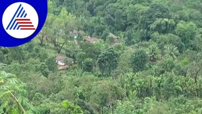 ಮಲೆನಾಡಿನಲ್ಲಿ ಮಳೆ ಬಿಡುವು , ರೈತರಿಗೆ ಕೃಷಿ ಇಲಾಖೆಯಿಂದ ಸಲಹೆ