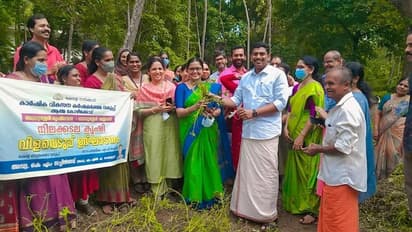 'നിലക്കടല വിളഞ്ഞത് നൂറുമേനി' ബാലുശേരിയിൽ വനിതാ കൂട്ടായ്മയുടെ ആവേശ വിളവെടുപ്പ്