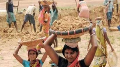 45 लाख मनरेगा मजदूरों की फैमली को बड़ी राहत देगी झारखंड सरकार, दो लाख रुपए देने का प्रपोजल तैयार
