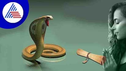 ಕಾಳಸರ್ಪ ದೋಷ ನಿವಾರಿಸಲು ಈ ಮಾರ್ಗ ಅನುಸರಿಸಿ 