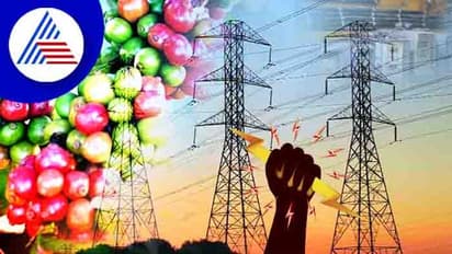 ಕಾಫಿ ಬೆಳೆಗಾರರ ವಿದ್ಯುತ್ ಪಂಪ್ಸೆಟ್ಗಳಿಗೆ ಉಚಿತ ವಿದ್ಯುತ್ ನೀಡದಿದ್ದರೆ ಹೋರಾಟ: ರೈತ ಸಂಘ ಎಚ್ಚರಿಕೆ