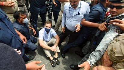 rahul : rahul arrested: 'மோடிதான் ராஜா': டெல்லியில் கைதுக்குப்பின் ராகுல் காந்தி விமர்சனம்