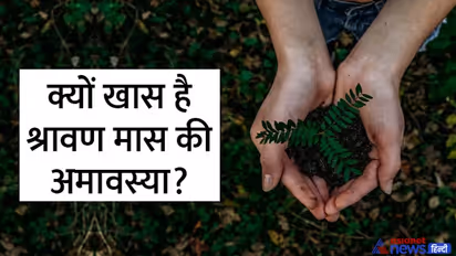 Hariyali Amavasya 2022: कब है हरियाली अमावस्या? जानिए इस दिन की पूजा विधि, शुभ मुहूर्त और लाइफ मैनेजमेंट