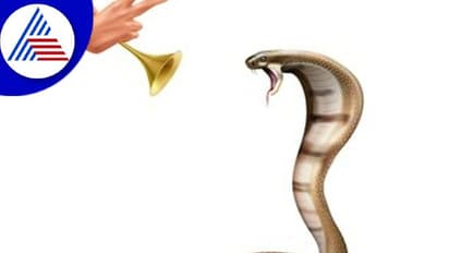 Nag Panchami 2022: ನಾಗರ ಹಾವಿನ ಕುರಿತ ಮೂಢನಂಬಿಕೆಗಳು ಒಂದೆರಡಲ್ಲ..