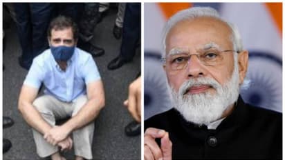 'നാട്ടുരാജാവ് ചോദ്യങ്ങളെ ഭയപ്പെടുന്നു' :മോദിക്കെതിരെ വിമർശനവുമായി രാഹുൽ ഗാന്ധി