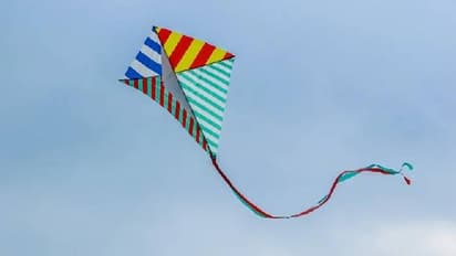 പട്ടത്തിന്റെ ചരട് കഴുത്തിൽ കുരുങ്ങി, ബൈക്ക് യാത്രികനായ യുവാവിന് ദാരുണാന്ത്യം