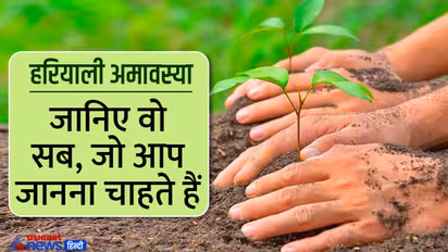 Hariyali Amavasya 2022: हरियाली अमावस्या पर बनेंगे ये 3 शुभ योग, इस विधि से करें पूजा, जानिए मुहूर्त और उपाय 