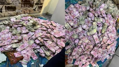 প্রাথমিক তল্লাশিতেই উদ্ধার ২০ কোটি নগদ-এক কোটির সোনা, অর্পিতার সম্পত্তির পরিমাণে চোখ কপালে ইডির