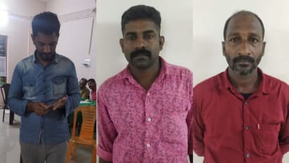 പരിക്കേറ്റ് കിടന്ന കേഴ മാനിനെ കൊന്ന് കറിവച്ച കേസ്; മൂന്ന് പേർ കൂടി പിടിയിൽ, ഫോറസ്റ്റ് ഓഫീസറടക്കം പ്രതി