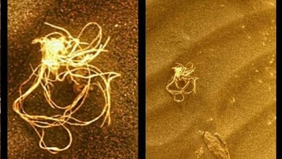 उलझन में वैज्ञानिक: मंगल पर कोई है जो चीजें गायब कर रहा.. कहीं यह काम एलियंस का तो नहीं, जानिए ऐसा क्यों लगा 