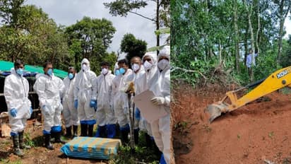 ആഫ്രിക്കന്‍ പന്നിപ്പനി: വയനാട്ടില്‍ ഇതുവരെ കൊന്നൊടുക്കിയത്  നാനൂറിലധികം പന്നികളെ