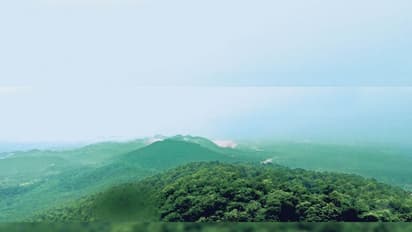 7 तस्वीरों में देखिए झारखंड का मिनी शिमला: 700 पहाड़ियों से घिरा है एशिया के सबसे बड़े साल के पेड़ों का जंगल