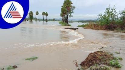 Bidar: ಭಾರೀ ಮಳೆಗೆ ಮದನೂರು ಗ್ರಾಮದ ಜನ ತತ್ತರ