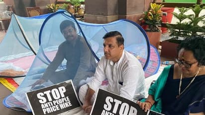 মশার কামড়ে অতিষ্ট প্রতিবাদী, সাসপেন্ড সাংসদদের ৫০ ঘণ্টার ধর্না মঞ্চে মশারি