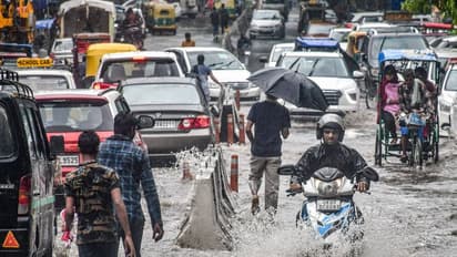 राजस्थान में 7 अगस्त तक होगी भारी बारिश, 19 जिलों में अलर्ट, जानें कैसा रहेगा आपके यहां का मौसम