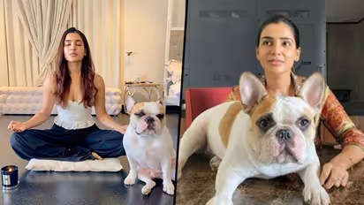 Pictures: Take a tour of Samantha Ruth Prabhu's Hyderabad house; bedroom to kitchen garden and more