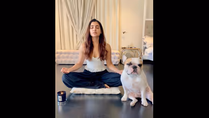 হায়দরাবাদে নাগার সঙ্গে যে বাড়িতে সামান্থা থাকতেন সেই বাড়িটি পুনরায় কিনে নিয়েছেন অভিনেত্রী