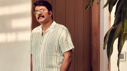 Mammootty : ടൈഗര്‍ ഡേയില്‍ ഫോട്ടോ പങ്കുവെച്ച് മമ്മൂട്ടി, നിങ്ങളല്ലേ യഥാര്‍ഥ കടുവയെന്ന് ആരാധകര്‍