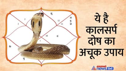 Nagpanchami 2022: कालसर्प दोष से हैं परेशान तो रोज सुबह करें 10 मिनिट का ये आसान उपाय