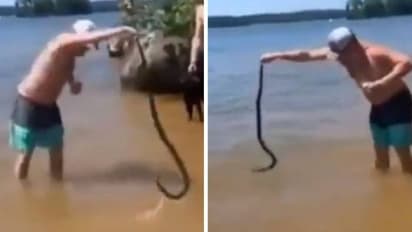 പാമ്പിനെ വലിച്ചെറിഞ്ഞു, ചെന്ന് വീണത് ബോട്ടിനുള്ളിൽ, ആളുകൾ നേരെ ചാടിയത് വെള്ളത്തിലേക്ക്