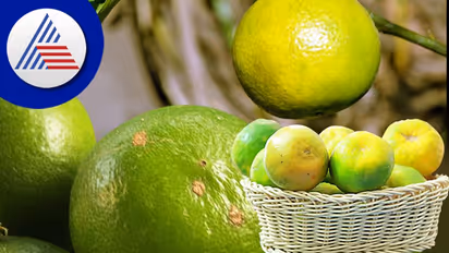 ಎಲ್ಲಾ ಕಾಲಕ್ಕೂ ಮೂಸಂಬಿ ಬೆಸ್ಟ್! ಆನಾರೋಗ್ಯವಿದ್ದರೂ ಈ ಹಣ್ಣು ಓಕೆ