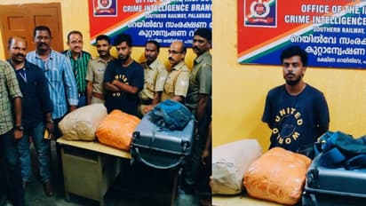 പാലക്കാട് റെയില്വേ സ്റ്റേഷനില് 20 കിലോ കഞ്ചാവുമായി കോട്ടയം സ്വദേശി പിടിയില്