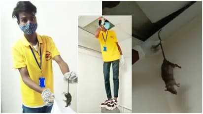 ಆಸ್ಪತ್ರೆಯಲ್ಲಿ ಇಲಿಗಳದ್ದೇ ದರ್ಬಾರು: ಕುಡಿಯೋದು ರೋಗಿಗಳ ಗ್ಲೂಕೋಸ್!