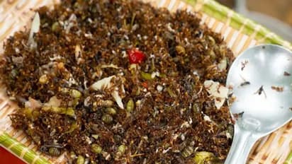 चिकन लेग पीस नहीं यहां खाई जाती है मेंढ़क की टांग, तो कहीं खाया जाता है सुअर का सलाद, देखें अजीब डिशेज