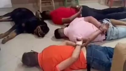 കഞ്ചാവ് കടത്തുകാർക്കൊപ്പം അറസ്റ്റിന്റെ സമയത്ത് 'കീഴടങ്ങി' നായയും; ദൃശ്യങ്ങൾ വൈറൽ