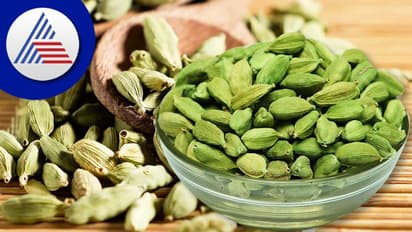 ಸ್ವೀಟ್ ರುಚಿ ಹೆಚ್ಚಿಸೋದು ಮಾತ್ರವಲ್ಲ, ಆರೋಗ್ಯಕ್ಕೂ ಬೇಕು ಏಲಕ್ಕಿ? ಇದ್ರಿಂದೇನು ಲಾಭ