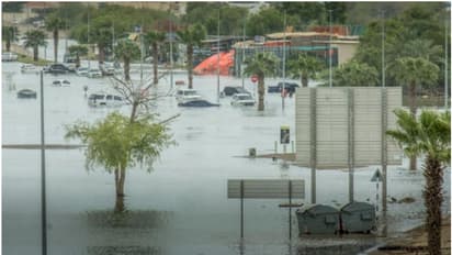 യുഎഇയിലെ പ്രളയത്തില് മരിച്ച അഞ്ച് പേര് പാകിസ്ഥാന് സ്വദേശികളെന്ന് സ്ഥിരീകരണം