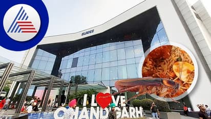 ಫ್ರೈಡ್ ರೈಸ್ನಲ್ಲಿ ಜಿರಳೆ ಪತ್ತೆ, ಅದು ಈರುಳ್ಳಿಯಲ್ವಾ ತಿನ್ನಿ ಎಂದ ಸಿಬ್ಬಂದಿ !