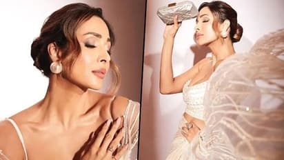  আইটেম গার্ল হিসেবেই সাফল্য,দীর্ঘ ২৫-এর কেরিয়ারে নায়িকা হিসেবে কেন দেখা মিলল না  'সেক্সবম্ব' মালাইকাকে