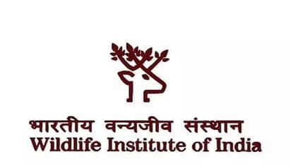 இந்திய வன விலங்கு நிறுவனத்தில் காலி பணியிடங்கள் அறிவிப்பு... சம்பளம் எவ்வளவு? கல்வி தகுதி என்ன?