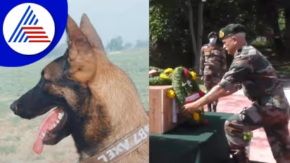 ಉಗ್ರರ ವಿರುದ್ಧ ಹೋರಾಟದಲ್ಲಿ ಹುತಾತ್ಮನಾದ 2 ವರ್ಷದ ಅಲೆಕ್ಸ್: ಸೇನಾ ಶ್ವಾನಕ್ಕೆ ಭಾವಪೂರ್ಣ ವಿದಾಯ