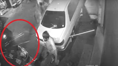 இலங்கை கொழும்பு அருகே துப்பாக்கிச்சூடு… ஒருவர் பலி… பதபதைக்க வைக்கும் சிசிடிவி காட்சி!!