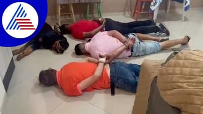 ಡ್ರಗ್ ಪೆಡ್ಲರ್‌ಗಳ ಜೊತೆ ತಾನು ಪೊಲೀಸರಿಗೆ ಶರಣಾದ ಶ್ವಾನ..!