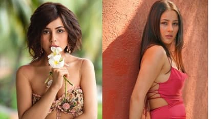 బిగ్ బాస్ బ్యూటీ షెహనాజ్ డైట్ సీక్రెట్ ఇదే...!