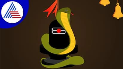 Nag Panchami 2022: 5 snake temples in India you can visit on this auspicious day