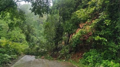 ಜೋಯಿಡಾ-ಕಾರವಾರ ಹೆದ್ದಾರಿ ಸಂಚಾರಕ್ಕೆ ಮುಕ್ತಗೊಳಿಸಲು ಆಗ್ರಹ