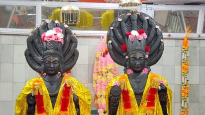 Happy Naga Panchami 2022: From wishes, quotes, WhatsApp/Facebook, greetings and more