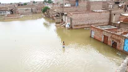 মেঘভাঙা বৃষ্টিতে ভাসছে পাকিস্তান, জলমগ্ন ইরাকও