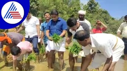 ಗದ್ದೆಗಿಳಿದು ನಾಟಿ ಮಾಡಿದ ಉತ್ತರ ಕನ್ನಡ ಜಿಲ್ಲಾಧಿಕಾರಿ ಮುಲೈ ಮುಹಿಲನ್