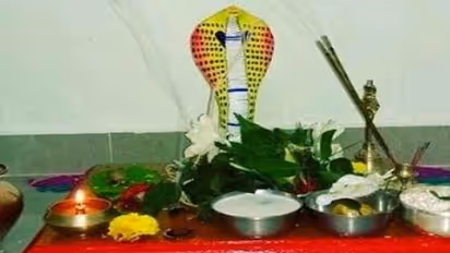 Nagpanchami 2022: शुभ योग में मनाया जाएगा नागपंचमी पर्व, जानिए पूजा विधि सहित वो सब कुछ जो आप जानना चाहते हैं