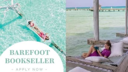 ലോകത്തിലെ മനോഹര ദ്വീപുകളിലൊന്നിൽ പുസ്തകം വിൽക്കുന്ന ജോലി, ശമ്പളം 59,000 രൂപ 