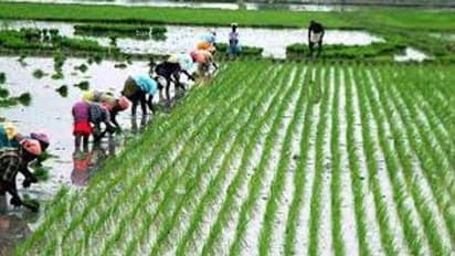 Aadi Perukku 2022 :  வளங்களை அள்ளித்தரும் ஆடிப்பெருக்கு வாழ்த்துக்கள்!