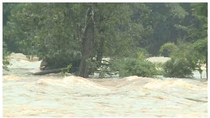മണിക്കൂറുകള്‍ നീണ്ട പരിശ്രമം; പുഴയില്‍ കുടുങ്ങിയ ആന രക്ഷപ്പെട്ടു, വനത്തിനുള്ളില്‍ കയറി