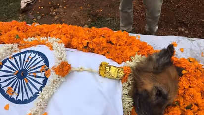 ಹಲವು ಪ್ರಕರಣ ಭೇದಿಸಿದ ಅರಣ್ಯ ಇಲಾಖೆ ಮುದ್ದಿನ ರಾಣಾ ಸಾವು, ಸರ್ಕಾರಿ ಗೌರವಗಳೊಂದಿಗೆ ಅಂತ್ಯಕ್ರಿಯೆ!